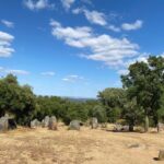 Full Day Tour in Évora from Lisbon - Who Should Consider This Tour?