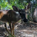 Full-Day Tour of Florida Keys Including Aquarium Encounters from Key West - Who Should Consider This Tour?