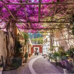 Full Day tour Positano, Amalfi and Ravello - Who Should Consider This Tour?