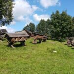 Full-Day Tour to Aukstaitija National Park from Vilnius - Who Should Consider This Tour?