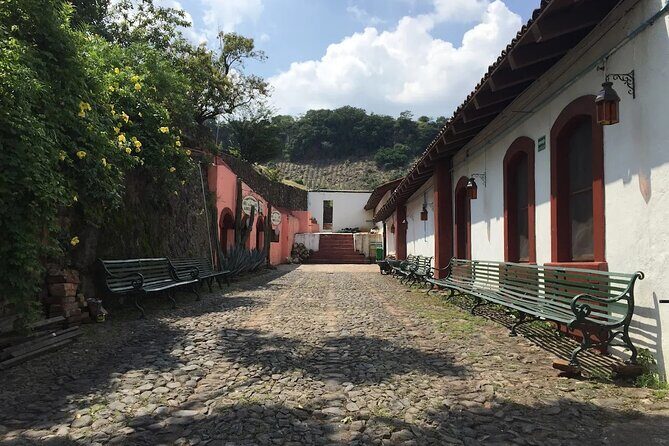 Full-Day Tour to La Fortaleza Distillery and Cantaritos - Authentic Insights from Past Travelers