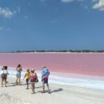 Full-Day Tour to Las Coloradas Pink Paradise in Yucatan and Rio Lagartos. - The Value Perspective