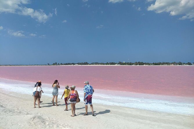 Full-Day Tour to Las Coloradas Pink Paradise in Yucatan and Rio Lagartos. - The Value Perspective