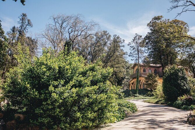 Full-Day Tour to Sintra and Cascais - Frequently Asked Questions (FAQs)