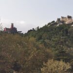 Full Day Tour to Sintra with Pena Palace and Quinta da Regaleira - The Practical Side: What to Expect from the Tour