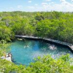 Full Day Tour to the Best of Holbox - Authentic Insights from Reviews