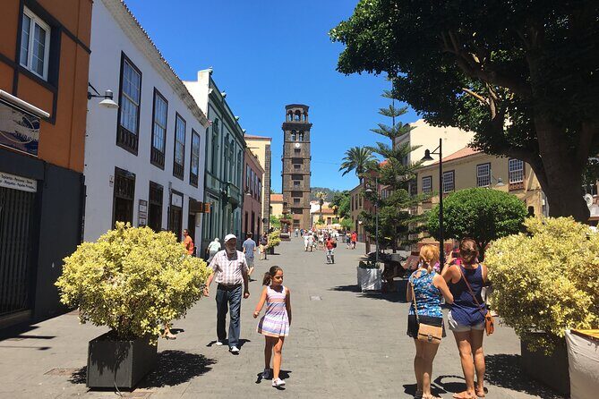 Full day tour visiting Santa Cruz, La Laguna and Anaga - FAQ