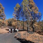 Full Day Tour with Hiking to the Tajogaite Volcano - A Closer Look at the Stops