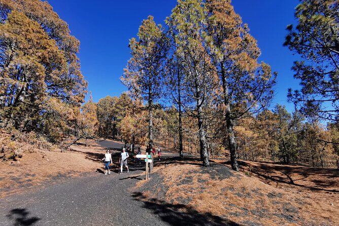 Full Day Tour with Hiking to the Tajogaite Volcano - A Closer Look at the Stops