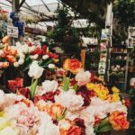 Full-Day Trip From Amsterdam to Keukenhof, Zaanse Schans + Cruise - The Value and Practicalities