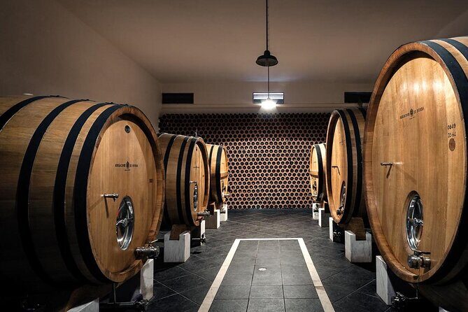 Full-day Trip in Evora, Winery & Cork Factory Private Transport - What Makes This Tour Stand Out?