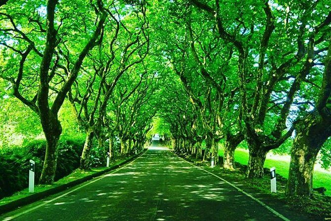 Full day Van Tour - Starting the Day: Pickup and First Stop at Monte Brasil