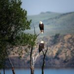 Full-Day Whitewater Rafting Trip on Salmon River with Lunch - The Experience from Past Travelers’ Perspectives