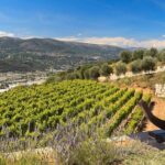 Full-day Wine Tour in Bellet & Saint-Paul de Vence from Nice - What You Can Expect from the Experience