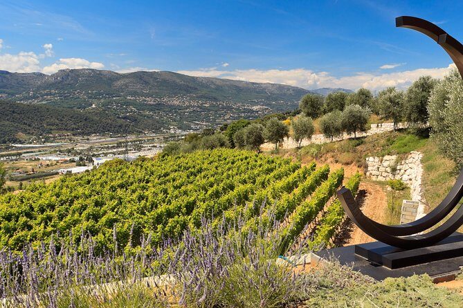 Full-day Wine Tour in Bellet & Saint-Paul de Vence from Nice - What You Can Expect from the Experience