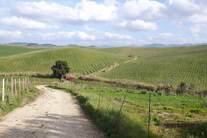Full-Day Wine Tour in Western Sicily - Final Thoughts