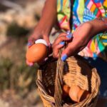 Full Haros Family Cooking Experience - Who Will Love This Tour?