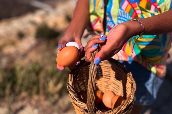 Full Haros Family Cooking Experience - Who Will Love This Tour?