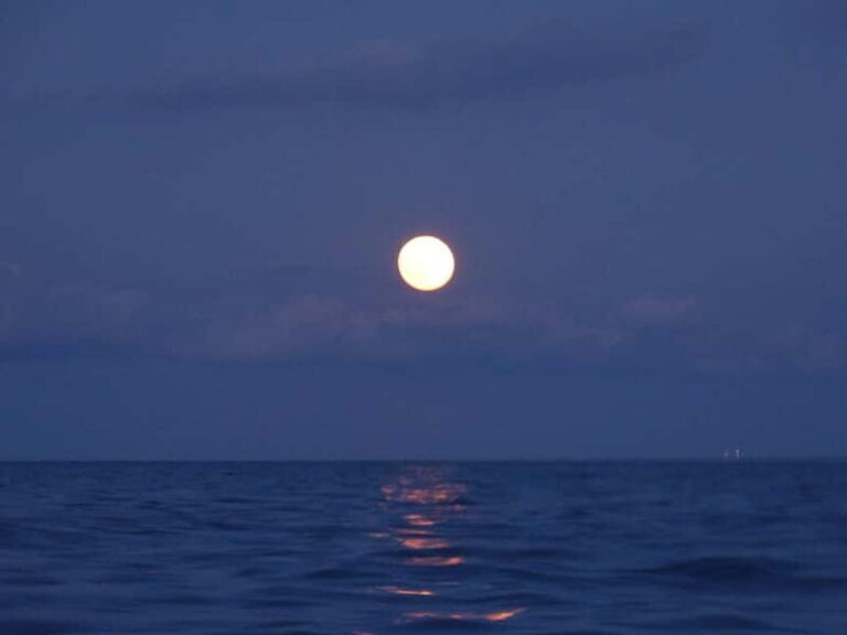 FULL MOON Boat Experience (OpenBar+Local Tapa included) - Who will love this experience?