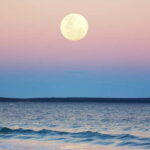 Full Moon Magic  2h Night Sailing in Sotogrande - Practical Details: What You Need to Know