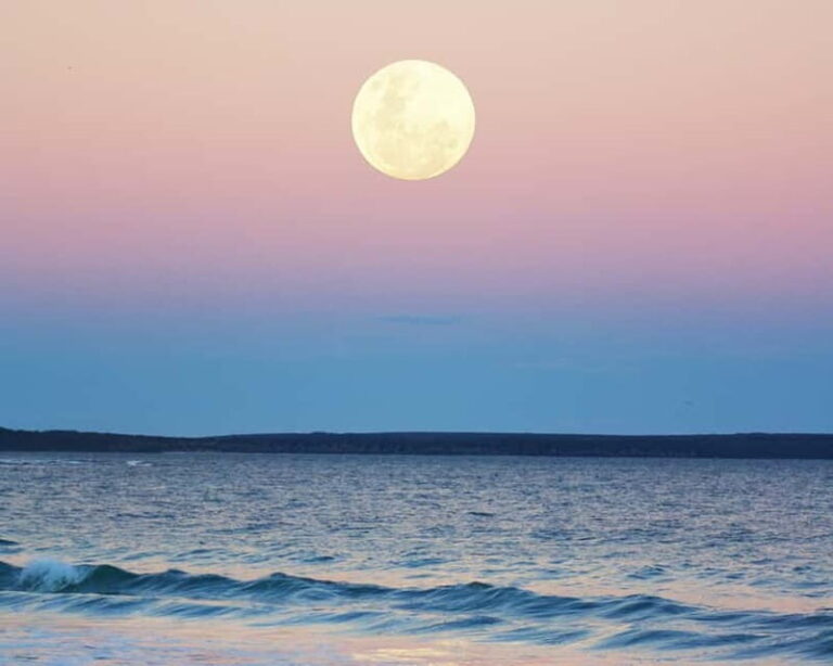 Full Moon Magic  2h Night Sailing in Sotogrande - Practical Details: What You Need to Know