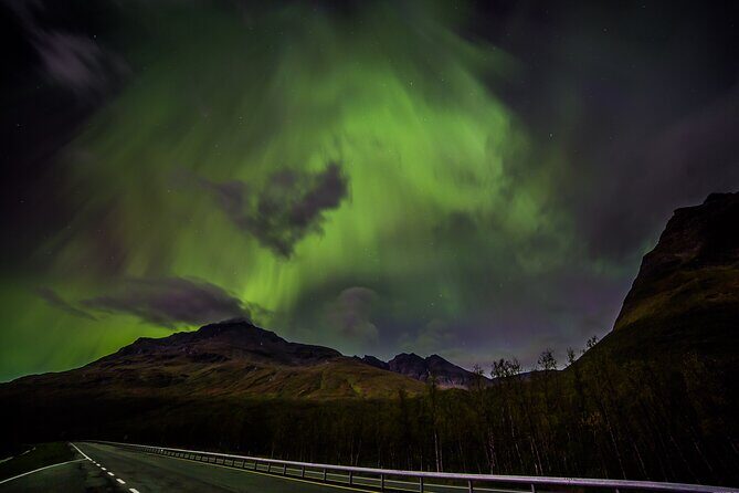 Full Night Magic of the Northern Lights in Tromso - An In-Depth Look at the Experience