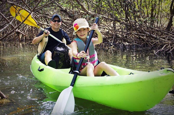 Fully Guided Kayaking Backwater Manatee and Dolphin Tour - Who Will Love This Tour?