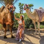 Fun Camel Ride and UTV COMBO with Tequila Tasting! - Transportation and Logistics