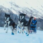 Fun & Easy Dog Sledding Adventure - Early Bird Tour - Who Is This Tour Best For?