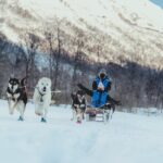 Fun & Easy Dog Sledding Adventure - Noon Tour - The Experience in Detail: What You Can Expect