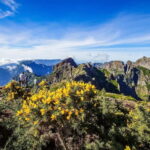 Funchal: 4x4 Jeep Trip to the East and Northeast of Madeira - The Off-Road Adventure and Scenic Highlights