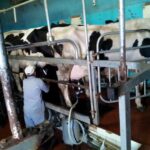 Funchal Agriculture Green Tour - Who Should Consider This Tour?