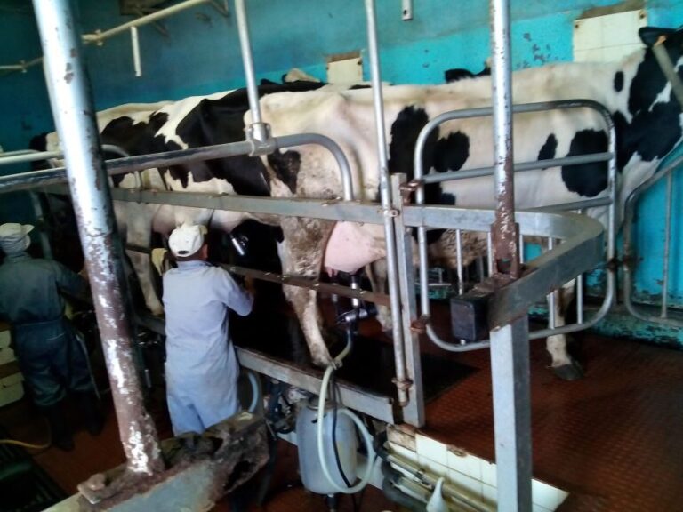 Funchal Agriculture Green Tour - Who Should Consider This Tour?