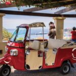 Funchal: Best Viewpoints Guided Tuk Tuk Tour - What You Can Expect on the Tour