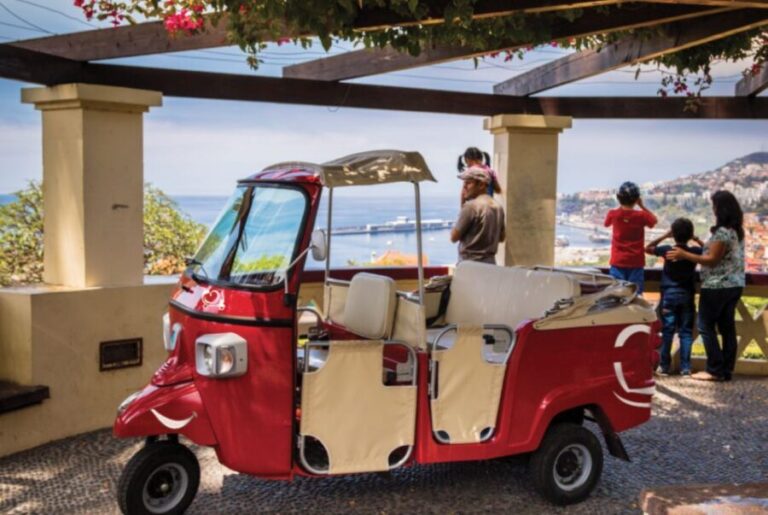 Funchal: Best Viewpoints Guided Tuk Tuk Tour - What You Can Expect on the Tour