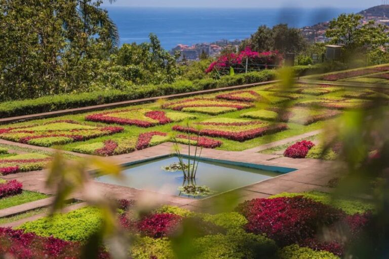 Funchal: Botanical Garden and Old Town Private Tuk-Tuk Tour - What to Expect from the Itinerary