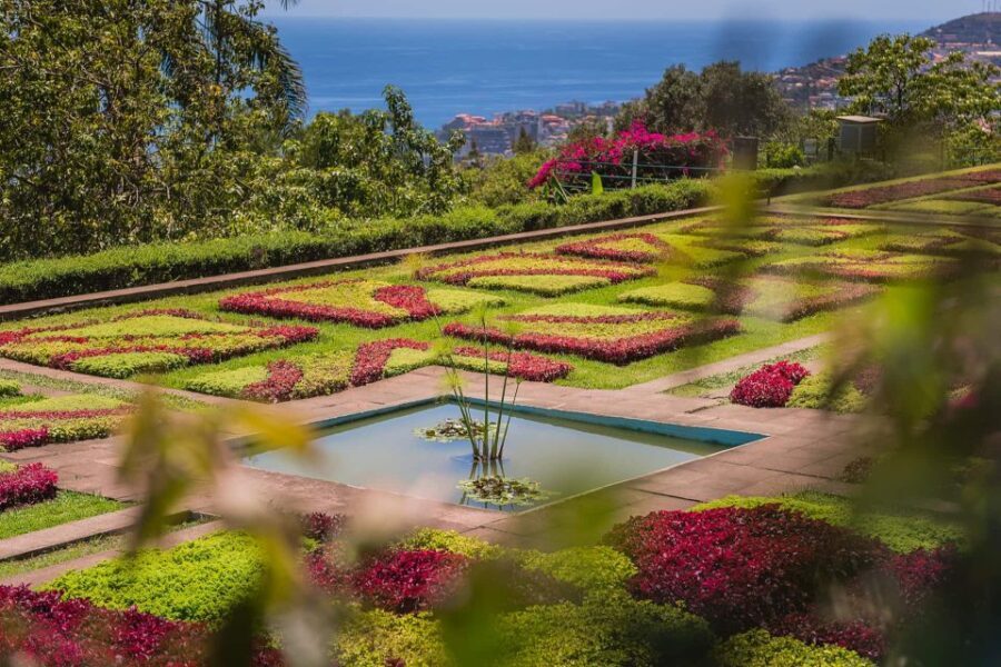 Funchal: Botanical Garden and Old Town Private Tuk-Tuk Tour - What to Expect from the Itinerary