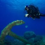 Funchal: Certified Scuba Diving, Guided Tour - What You’ll Experience Beneath the Surface