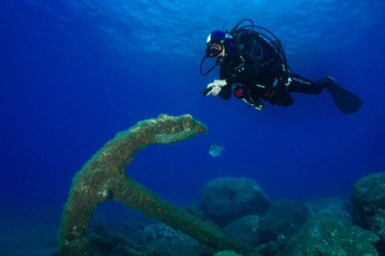 Funchal: Certified Scuba Diving, Guided Tour - What You’ll Experience Beneath the Surface