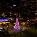 Funchal: Christmas Lights Guided Tuk-Tuk Tour - Why This Tour Works for You