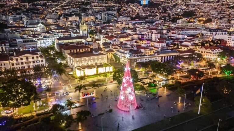 Funchal: Christmas Lights Tuk-Tuk Tour Experience by MadTuk - What the Tour Offers for the Price