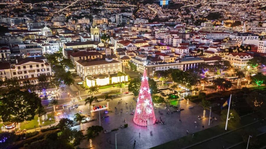 Funchal: Christmas Lights Tuk-Tuk Tour Experience by MadTuk - What the Tour Offers for the Price