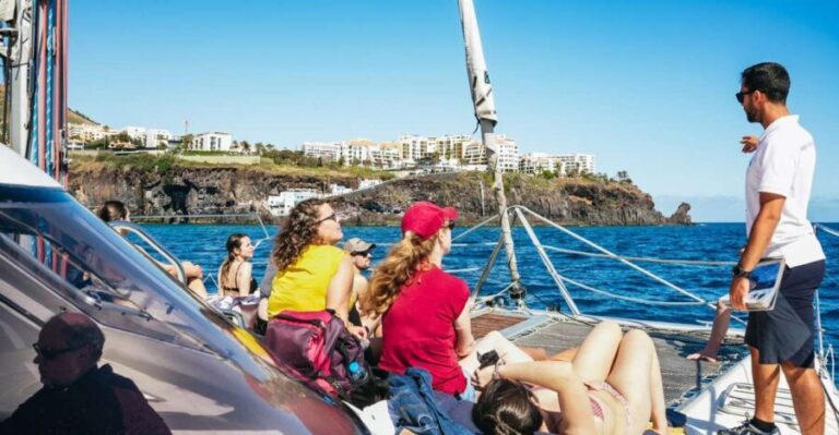 Funchal: Dolphin and Whale Watching by Luxury Catamaran - Group Size and Atmosphere