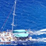 Funchal: Dolphin and Whale-watching Catamaran Tour - The Itinerary in Detail