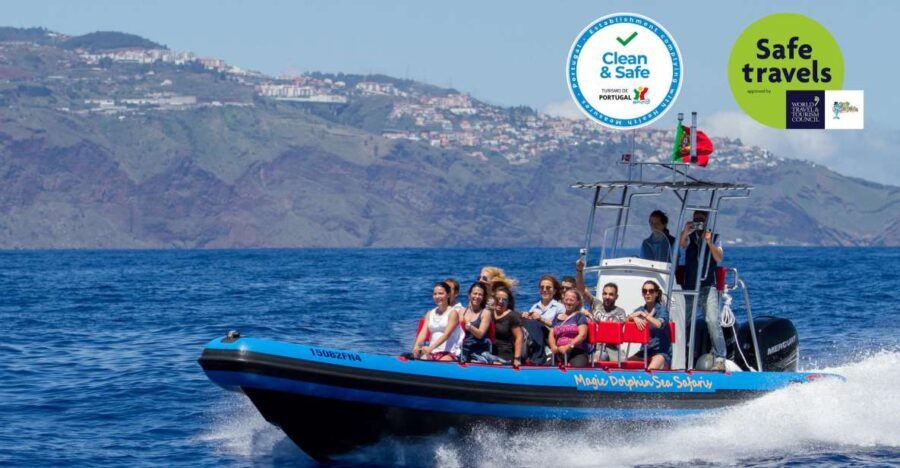 Funchal: Dolphin and Whale Watching Cruise - Who Will Love This Tour?