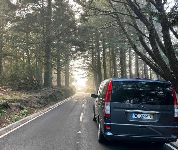 Funchal: East Madeira Island Guided Tour & Laurissilva Walk - Who is this tour best for?