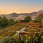 Funchal: Guided Old Town Tuk Tuk Tour and Botanical Gardens - The Sum Up