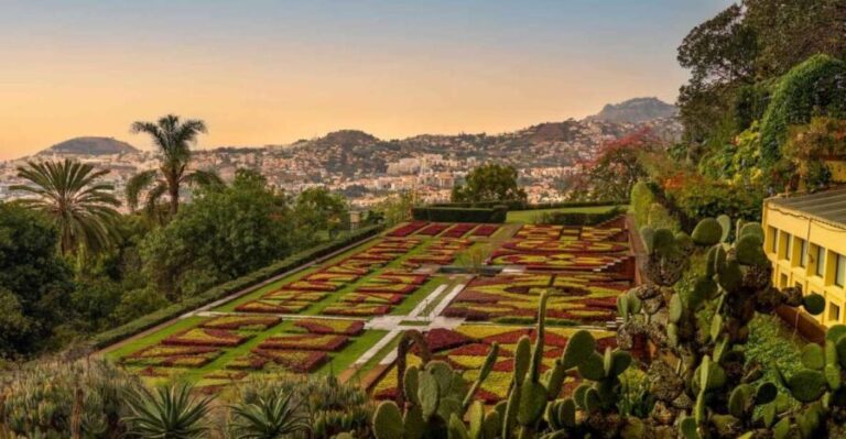 Funchal: Guided Old Town Tuk Tuk Tour and Botanical Gardens - The Sum Up