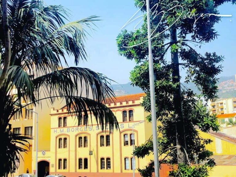 Funchal: H.M. Borges Winery Private Tour and Wine Tasting - Practical Aspects