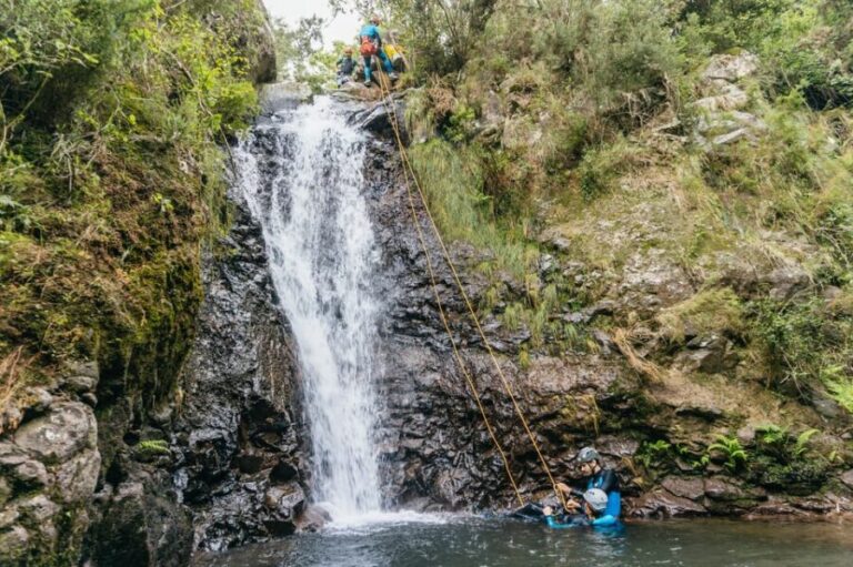 Funchal: Half-Day Beginner-Friendly Canyoning Experience - The Scenic Route and Natural Highlights